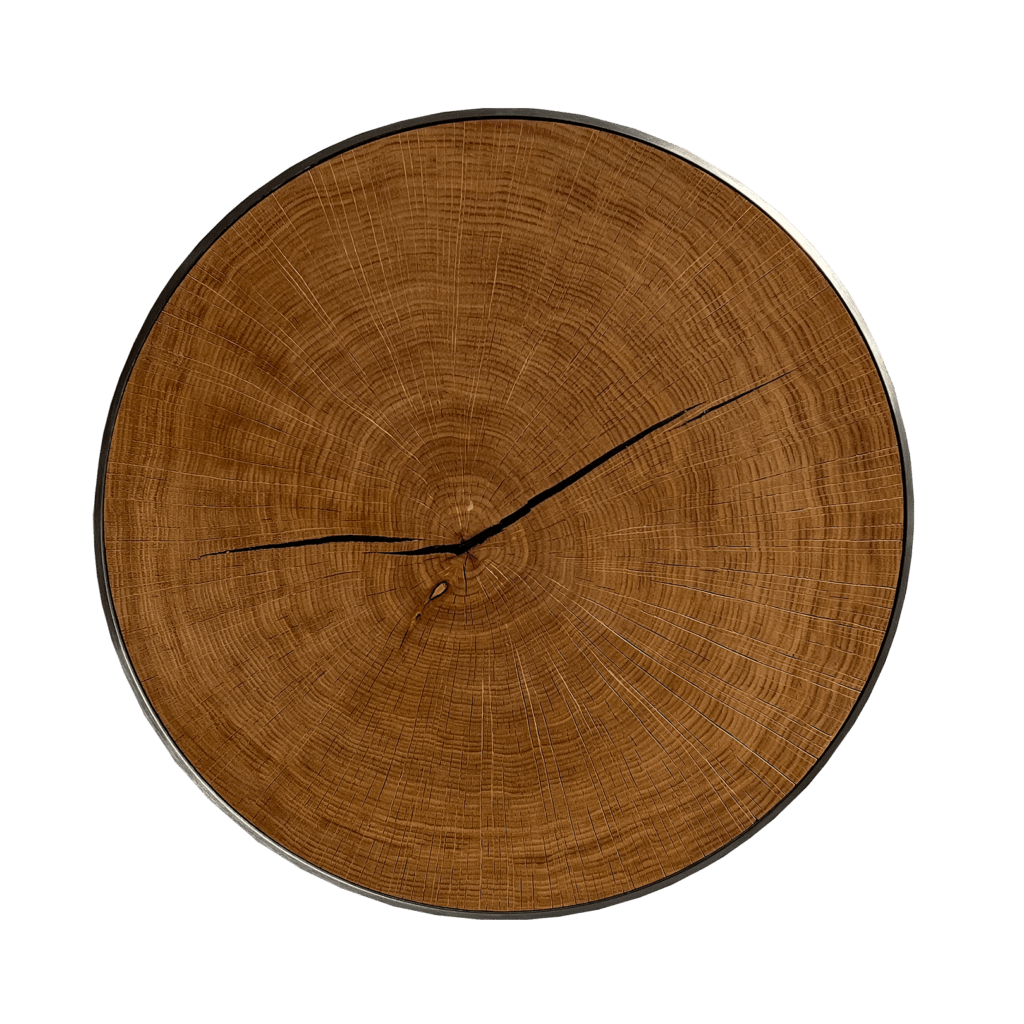 MyLivingTree Wandobjekt Modern ohne Meilensteine – elegante Baumscheibe im Rahmen