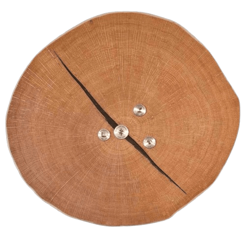 Gravierte Edelstahlmünze auf MyLivingTree Baumscheibe – Detailansicht eines Meilensteins mit Gravur